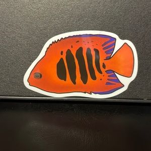 ORANGE FISH STICKER